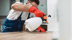 Best Residential Pest Control  in Needville, TX